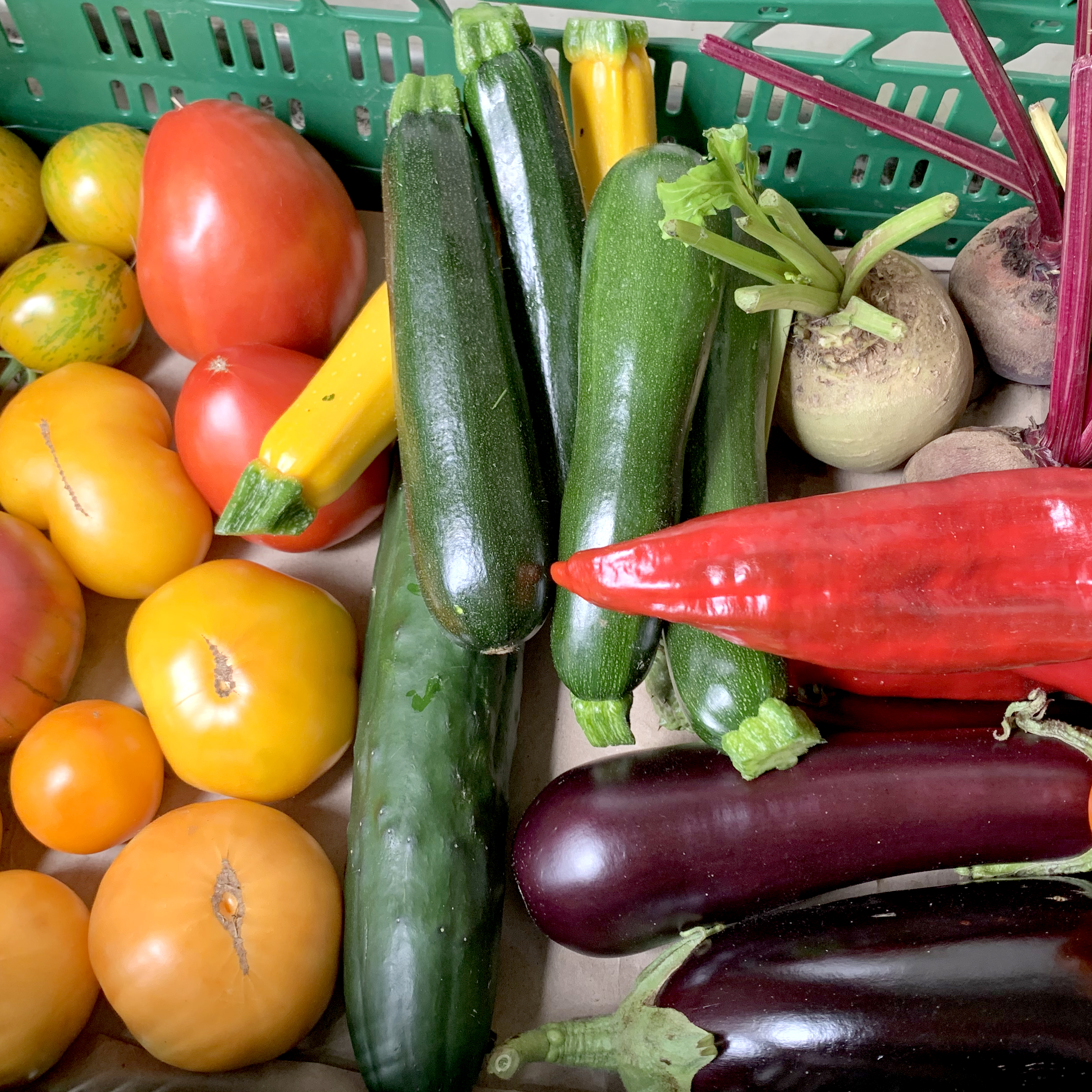 AMAP 18 – Saison 2026/2027 – Image 4